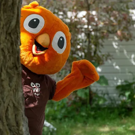 Holiday park Vvf Ile De Re 3*