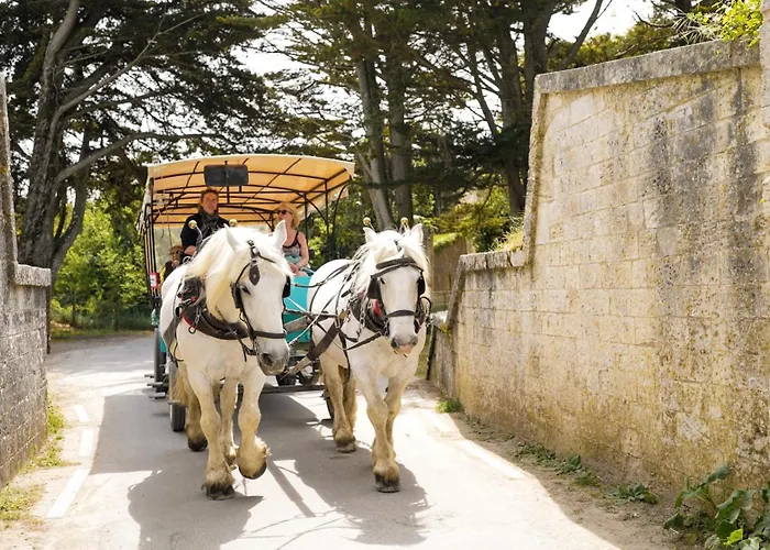 Vvf Ile De Re 3* Sainte-Marie-de-Re